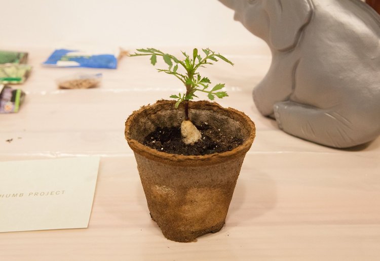  photo credit:  Isabel Avila  